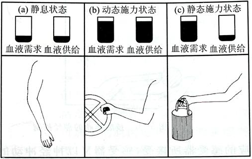 人机工程学概论大纲,人机工程学设计说明