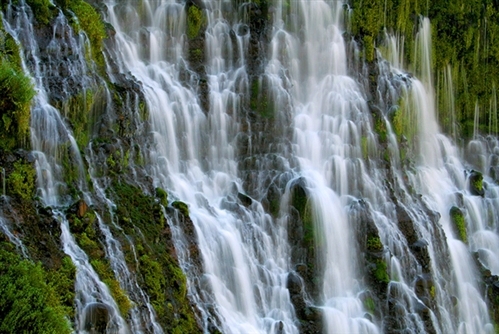 大自然中奇妙的分形图,100幅自然艺术欣赏