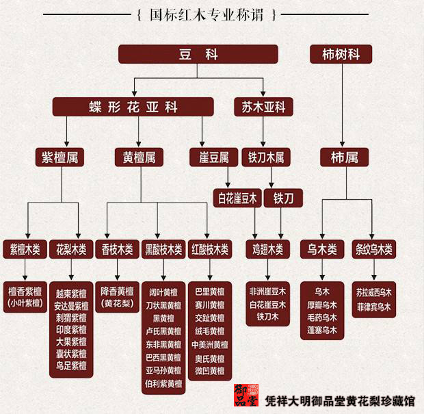 活着模仿片段,活着模仿秀第一回