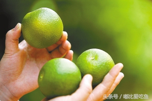 海南省十大特产海南有哪些特产海南著名特产排行榜