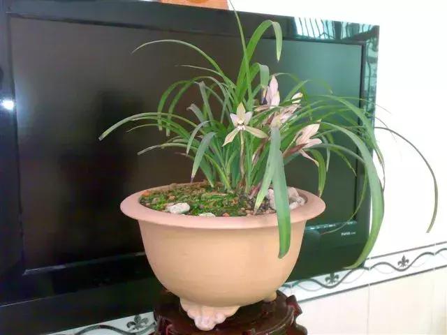 老公身上烟味大怎么去除,老公身上烟味很浓