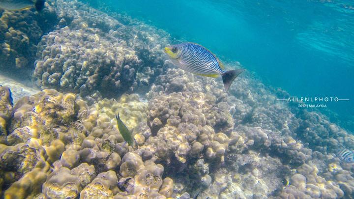 兰卡威环岛游玩攻略,兰卡威自驾环岛一圈多少时间