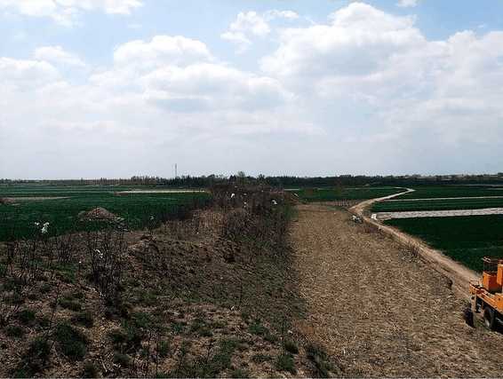 乐陵市金丝小枣批发市场,乐陵市朱集镇金丝小枣