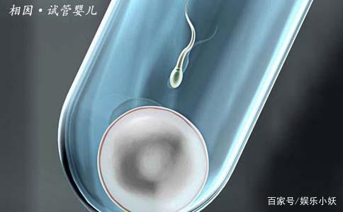 患者经验分享：广州试管婴儿详细流程