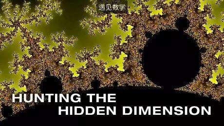 大自然中奇妙的分形图,100幅自然艺术欣赏