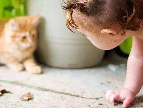 2岁孩子害怕怎么引导,2岁孩子总是害怕恐惧怎么回事