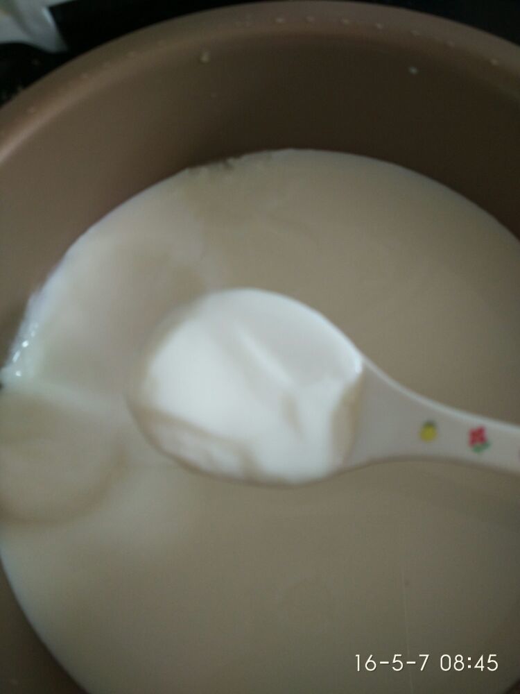 教大家利用纯牛奶做酸奶，想吃就自己做非常简单