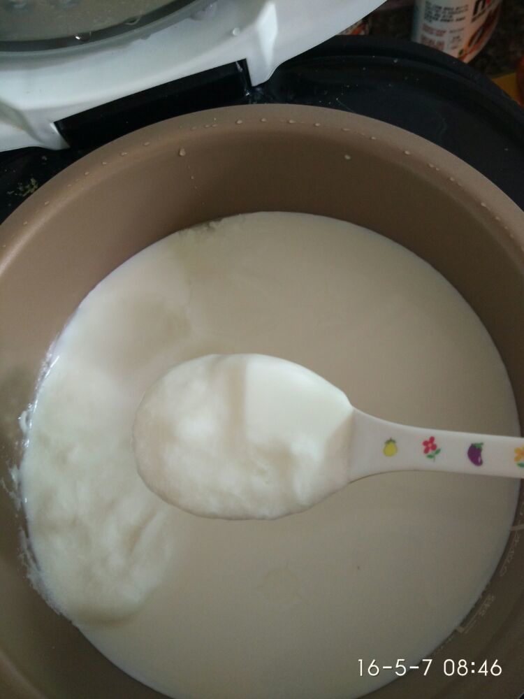 教大家利用纯牛奶做酸奶，想吃就自己做非常简单