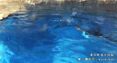 超全的香港吃喝玩乐指南！去玩的先马住~