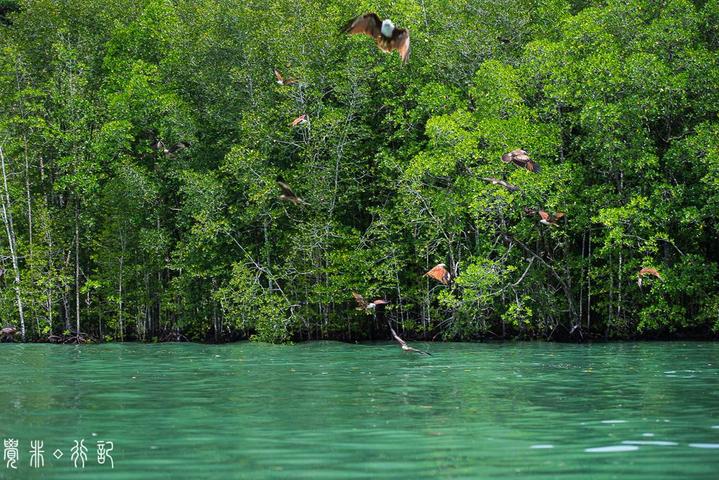 兰卡威环岛游玩攻略,兰卡威自驾环岛一圈多少时间