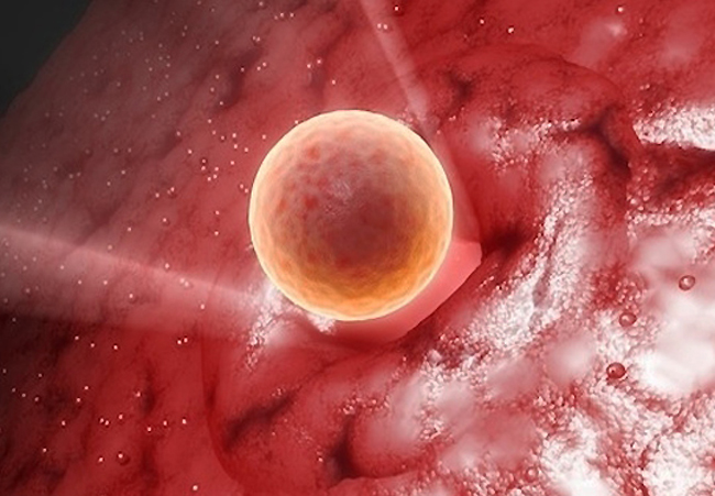 受精卵原来已经悄悄着床！肚子里都有小宝宝了，宝妈们却仍然不知