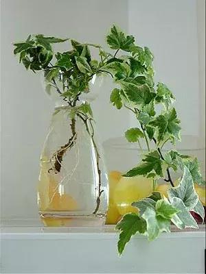 老公身上烟味大怎么去除,老公身上烟味很浓