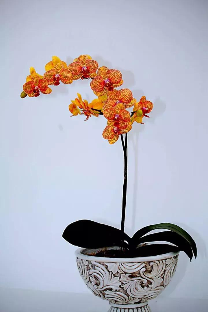 老公身上烟味大怎么去除,老公身上烟味很浓