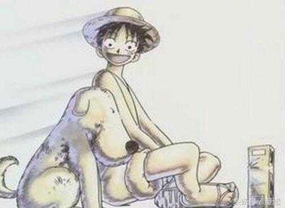 盘点全网十大网红狗狗,盘点电影中的十大狗狗明星