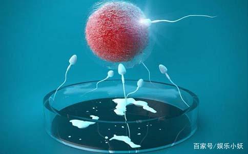 患者经验分享：广州试管婴儿详细流程