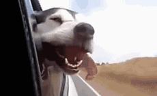 车载收纳神器,最先进的车载收纳神器