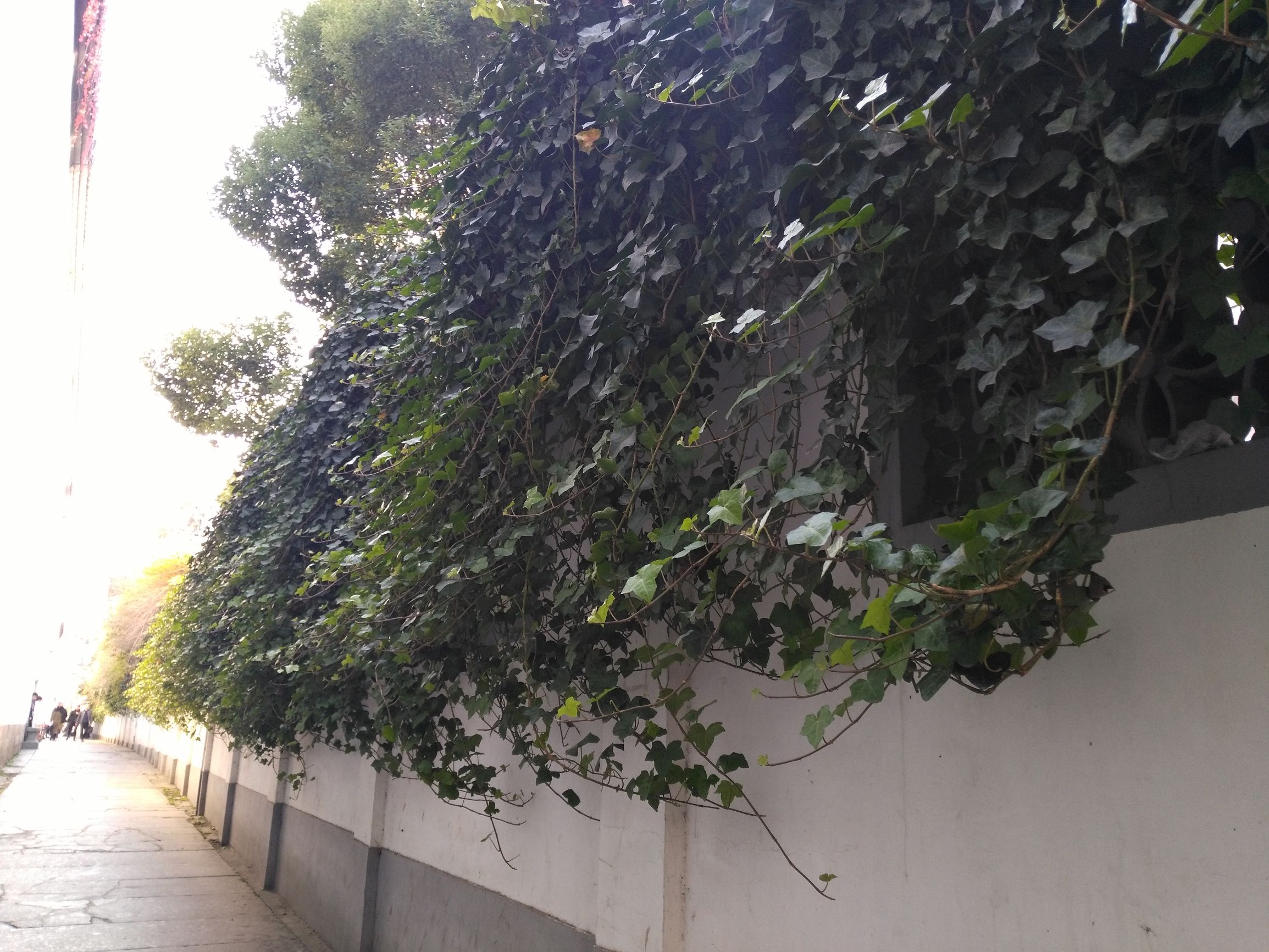 胡雪岩与罗四太太,胡雪岩旧居和故居多远