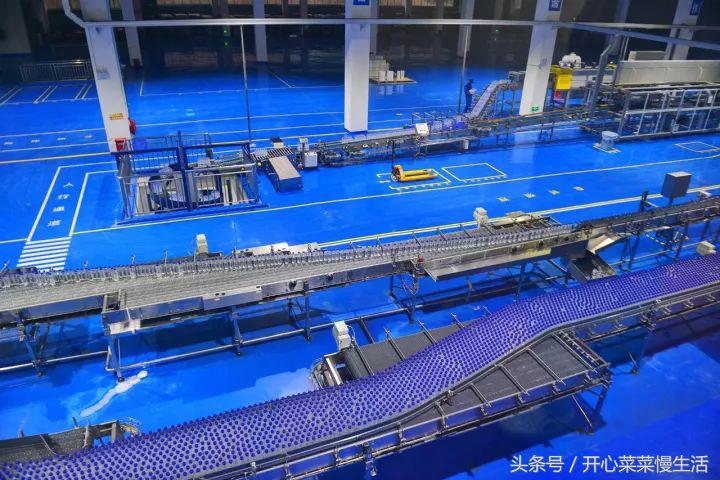 巴马为什么被称为长寿之乡的原因,世界长寿之乡巴马记录篇