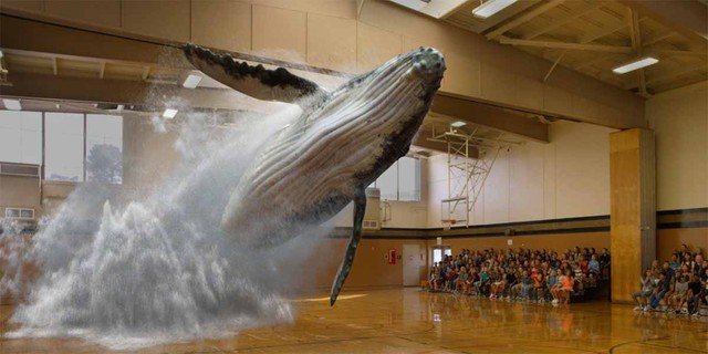 arvrmrcr区别,vrarmr区别图