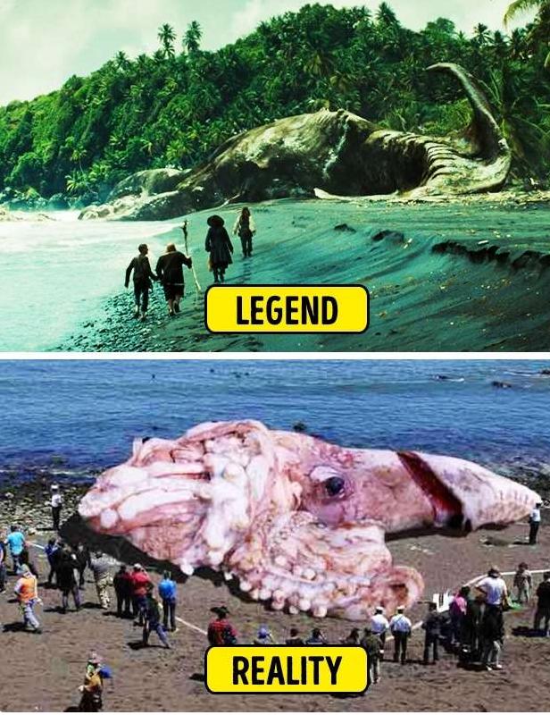 神话传奇故事真实的,神话传说与真实事件