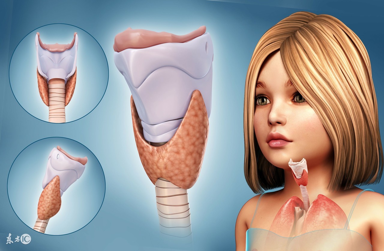 甲状腺素131碘试验,甲状腺碘131试验视频