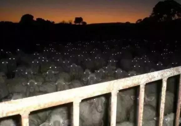 说起来你可能不信用古诗怎么说,说起来你可能不信是什么梗