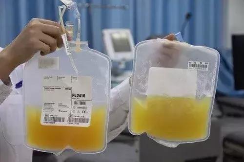 急性白血病是怎么引起来的,急性白血病可怕还是肿瘤可怕