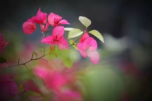 photoshop教程100集,photoshop教程一寸照片