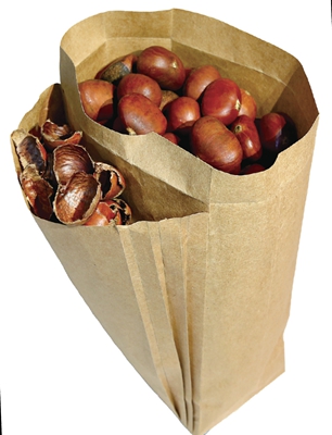 大学生顶级设计奖,2024全国大学生设计大赛获奖名单