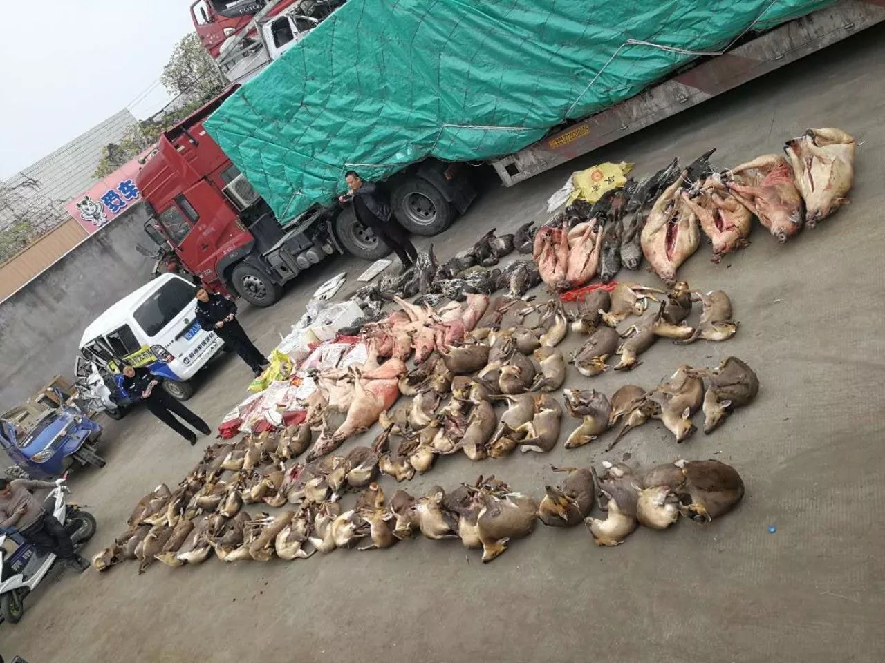 4岁男童看到电视就吓哭，“恐屏”症背后竟是这个原因，家长反思：我是不是做错了？｜武汉早班车