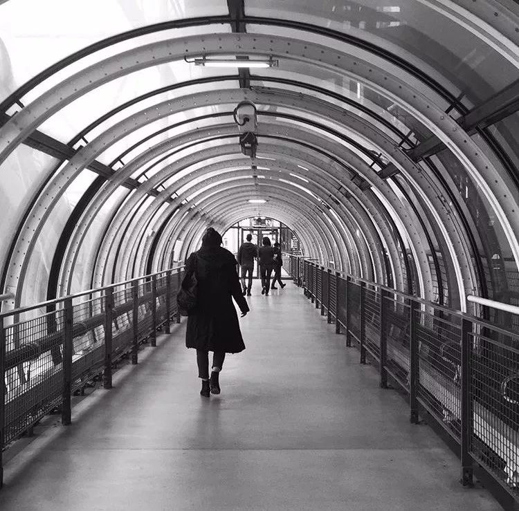 爱去「蓬皮杜」，是种不治之症