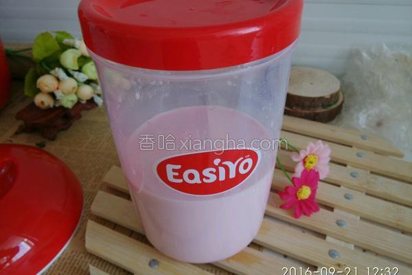 小熊酸奶机的酸奶制作方式,酸奶机水果味酸奶的做法