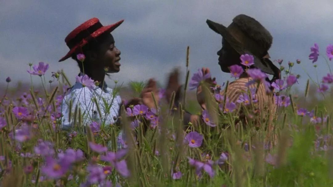 紫色是少女国度的一抹忧愁