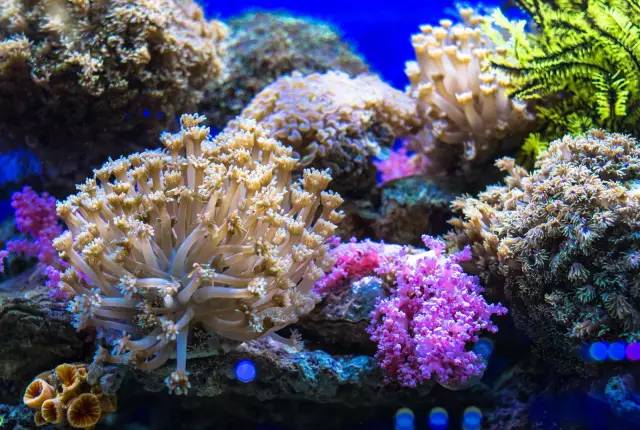 旅游纪念品别带回家,去哪里旅游能带回珍贵的纪念品