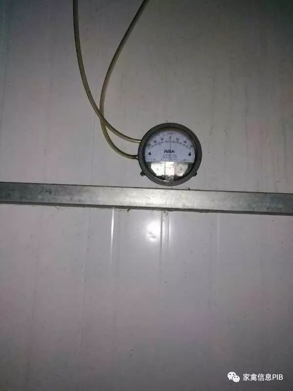 鸡舍的负压是怎样算的,鸡舍负压过大的表现