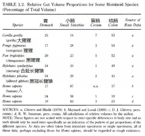 为什么有人天生爱吃肉,人为什么天生爱吃肉