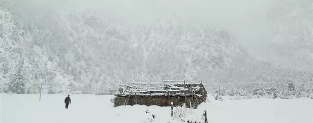 大雪至寒冬始冬令进补正当时,大雪至隆冬时吃什么玩什么