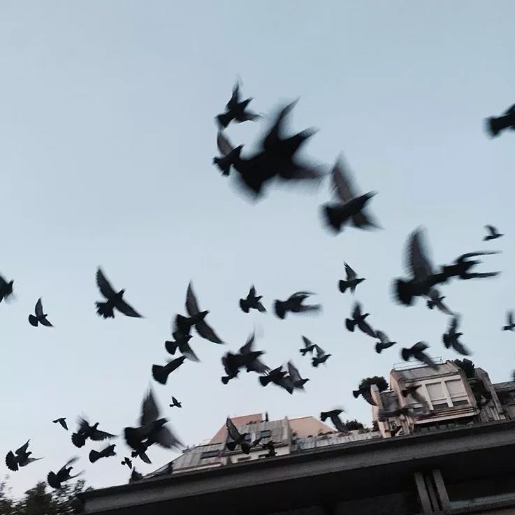 爱去「蓬皮杜」，是种不治之症