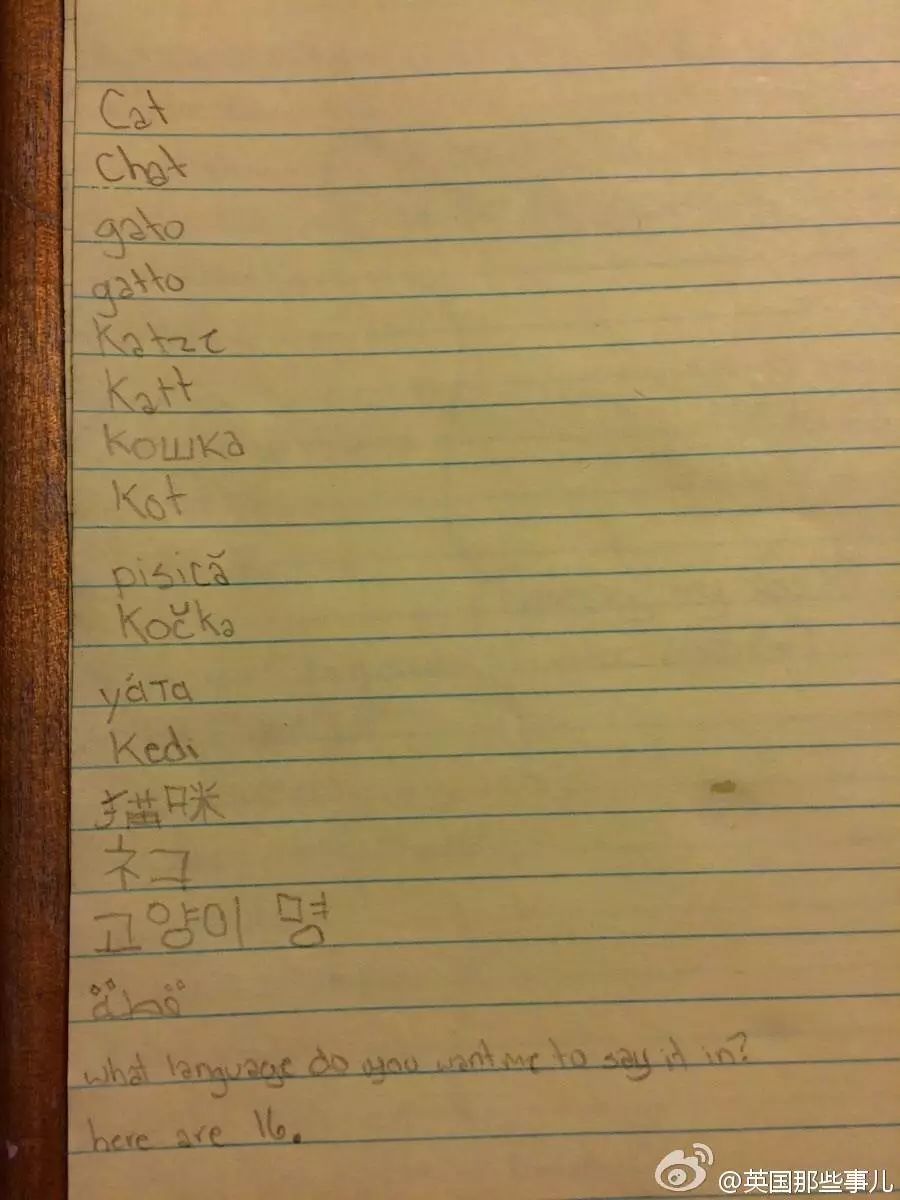 圣诞节心愿怎么写,圣诞节欲望清单素材