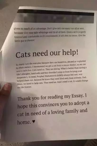 圣诞节心愿怎么写,圣诞节欲望清单素材