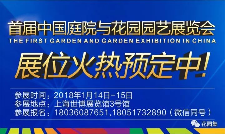 花园里的花怎么种植,花园里如何种花更容易活