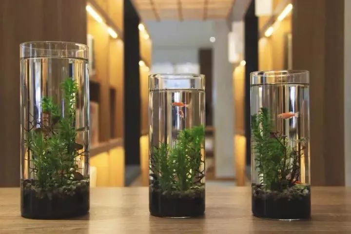 24小时、以旧换新……南京这8大特色书店，去了就不想离开