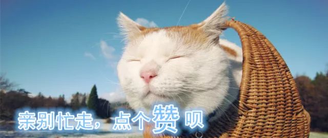 酵素加代餐粉好吗,酵素代餐的作用