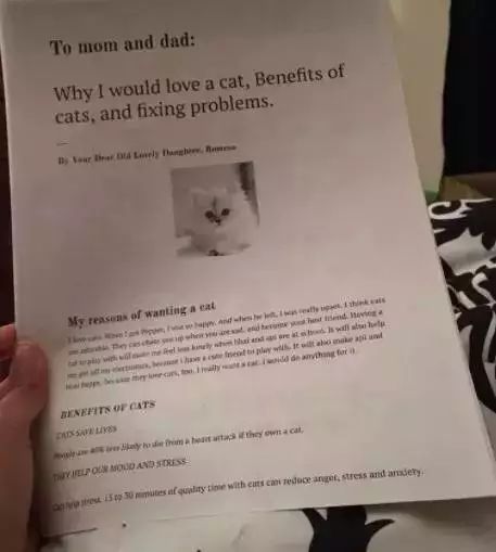 圣诞节心愿怎么写,圣诞节欲望清单素材