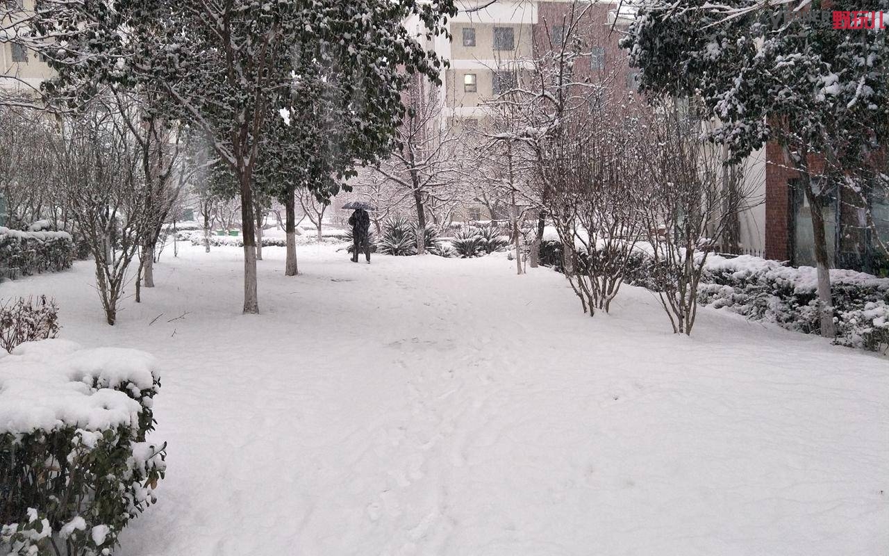 thenorthface徒步鞋推荐,thenorthface是什么牌子