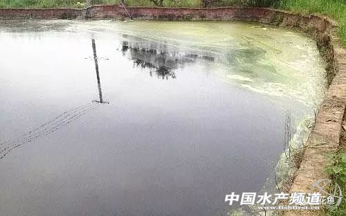 养殖水浓用什么药好,养殖水硬度高有什么好处