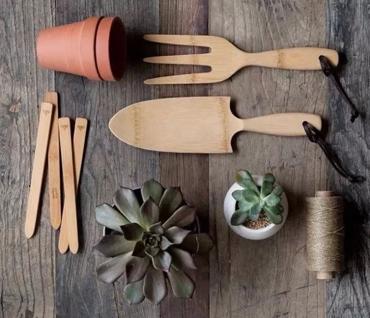 花园里的花怎么种植,花园里如何种花更容易活