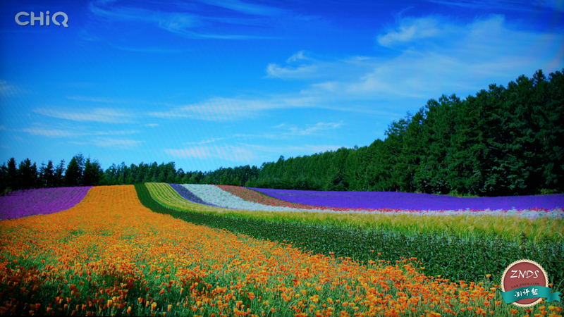 电视盒子泰捷盒子评测,泰捷webox盒子最全对比测评