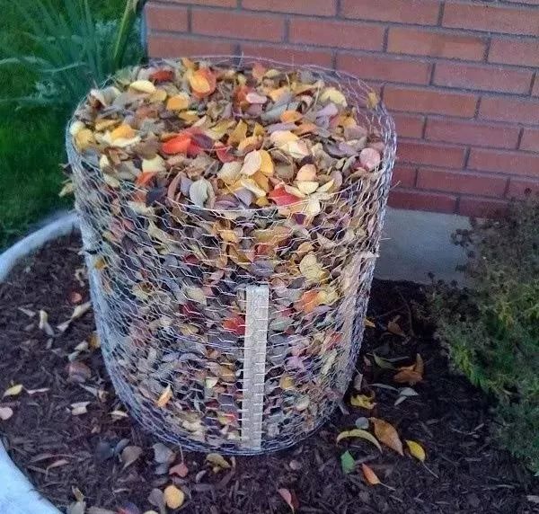 花园里的花怎么种植,花园里如何种花更容易活