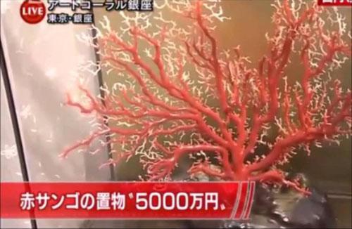 中国游客爆买日本商品粤语,中国游客爆买